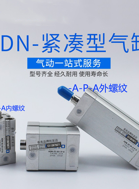 薄型气缸 DN--10-20--30-32----3-0--100-I--P-