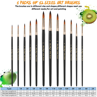 12pcs Paint Brushes Set Professional Paint Brush Round Point