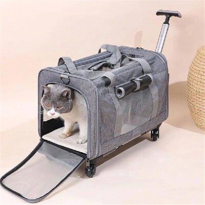 Extra Large Portable Pet Trolley Case, Detachable Dog