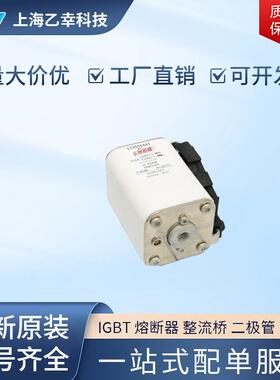 巴斯曼熔断器 170M4494 170M4495 170M4496 170M4497 170M4508