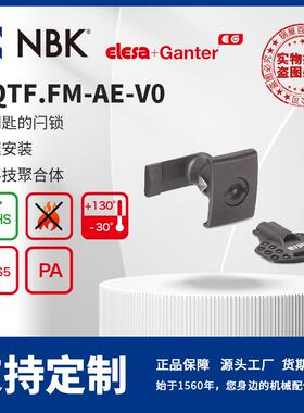 NBK ELESA CQTF.FM-AE-V0 带钥匙的闩锁 高科技聚合体 机械配件厂