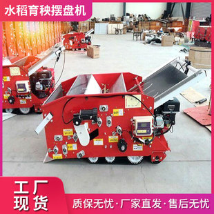 水稻育秧盘插秧机农作物DP 育秧机 CYJ型流水线自动电动播种一体式
