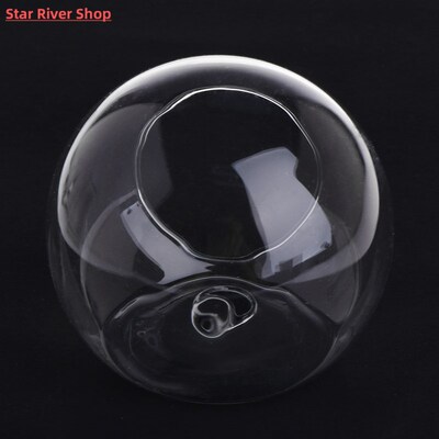 Transparent Glass Vase Wall Hanging Hydroponic Terrarium Fis