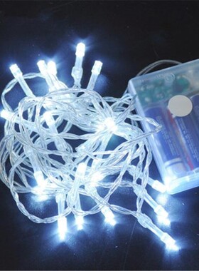 LED Christmas Lights For Holiday Party Wedding Decoration