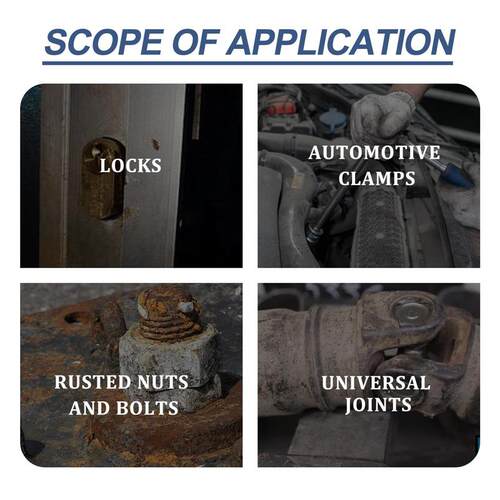 Rayhong Rust Converter Spray for Cars - Wheel Hub, Tire Rim,