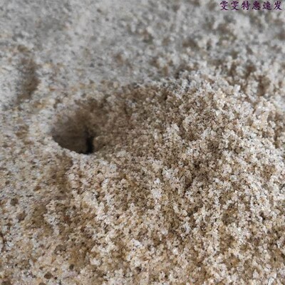 Natural sea sand 6 pounds of sand crab bottom sand seaside c