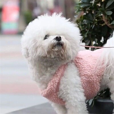Collar Harness Leash Adjustable Plushes Pet Traction Kitten