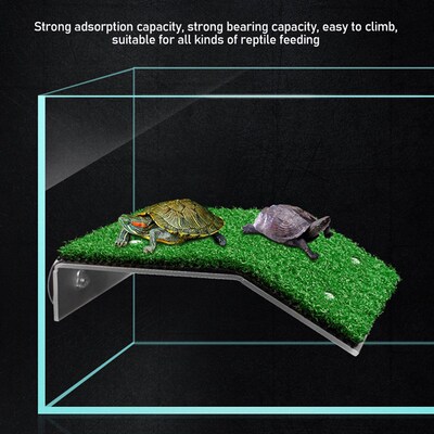 Reptile Lawn Slope Turtle Basking Platform Turtle Resting Ba