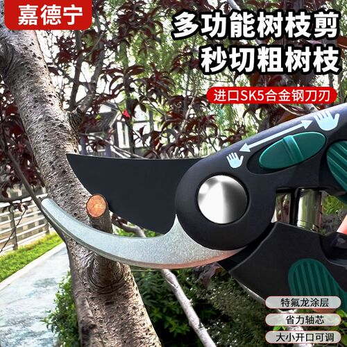 园艺剪树枝果树枝修枝剪花剪园林花艺强力省力粗枝剪子
