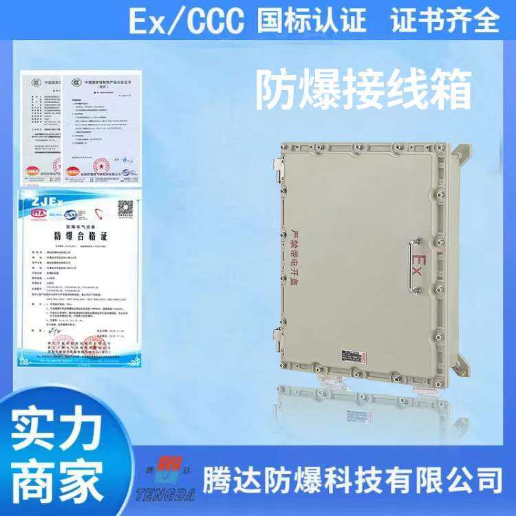 防爆接线箱隔爆型壳体动力仪表柜检修控制空箱IIB级防腐配电箱柜,3C数码配件,其它配件,淘宝优惠券,粉丝福利购,淘宝优惠卷