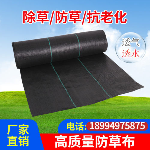 防草布除草布农用打孔盖草抑草遮草布透气透水抗老化果园加厚地膜