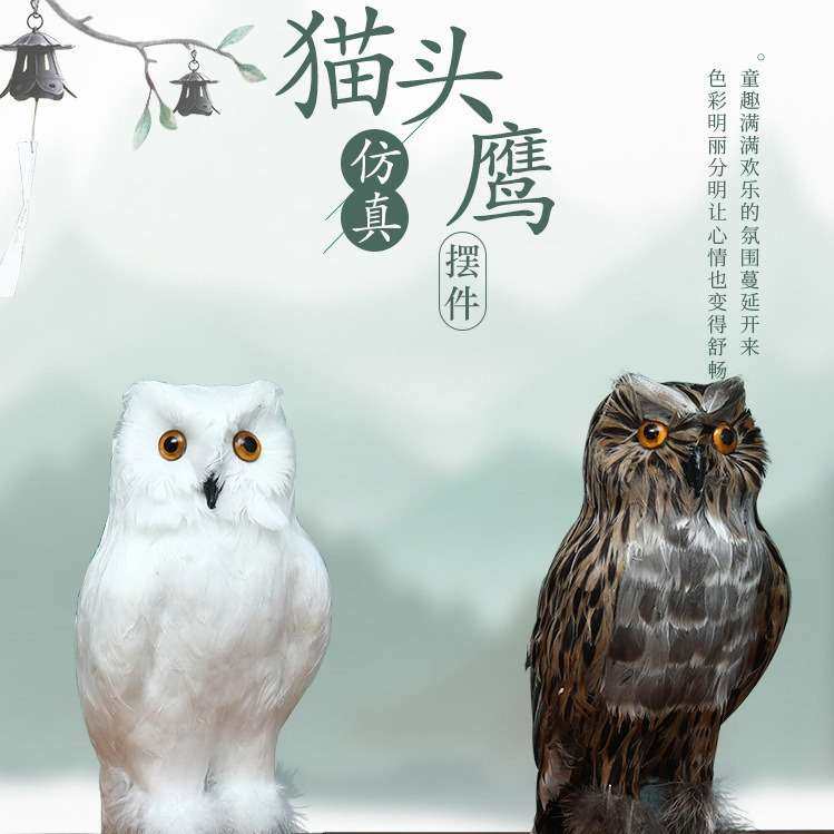 仿真猫头鹰 花色猫头鹰 羽毛制品 白猫头鹰 家居装饰品 手工艺品