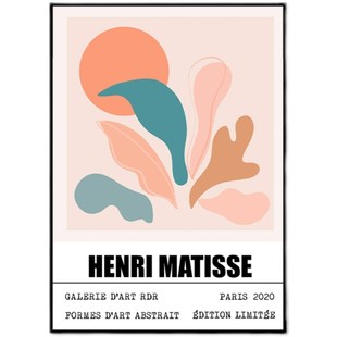 马蒂斯线条人物花卉组合装 饰画抽象北欧简约客厅沙发背景墙壁挂画