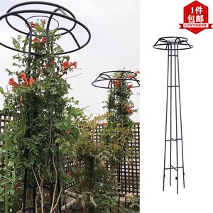 蘑菇爬藤架园艺花架庭院花园伞型铁艺爬藤花架铁线莲蓝雪花素馨花