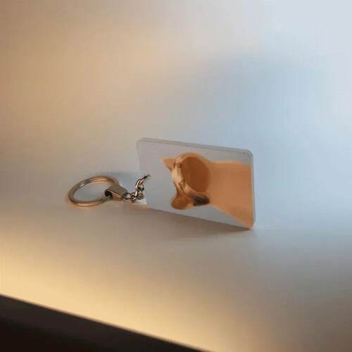 Pop Cat Keychain Cute kitten HD popular dynamic pendant crea