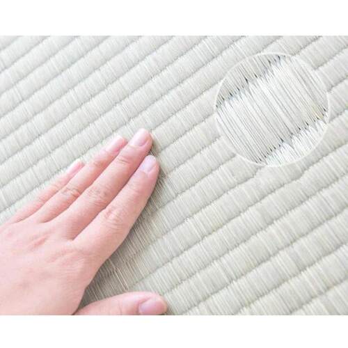 Japan Style Foldable Sleeping Mattress Tatami Straw Mat Home