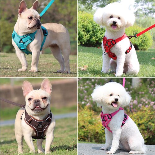 Harness and Leash Set Pet Accessories Dog Harness For Small