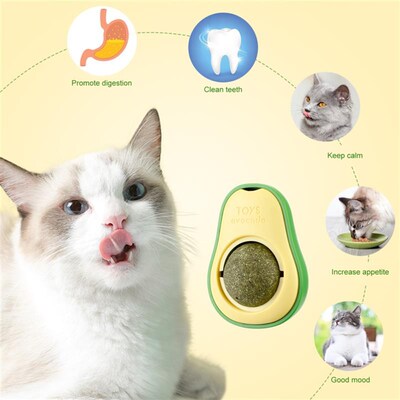Avocado catnip licking ball toys for cats free shipping nart