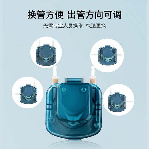 雷熔微小型BP00无刷电机蠕动泵 实验室大流量灌装机工业抽水泵头