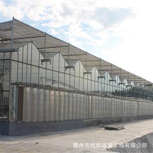 【温室大棚】文洛型连栋智能玻璃温室 花卉农业养殖温室大棚工程