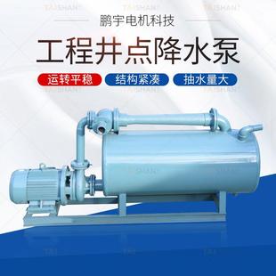 真空井点轻型降水泵水环式真空度水泵真空设备增压泵工业专用自吸