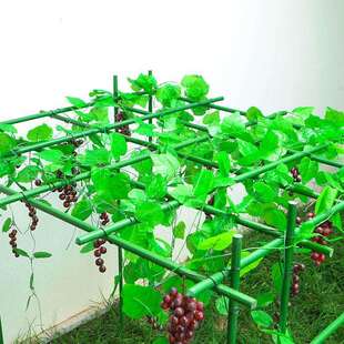 户外葡萄架子爬藤支柱杆子黄瓜爬藤支架丝瓜架子蔷薇攀爬百香果架