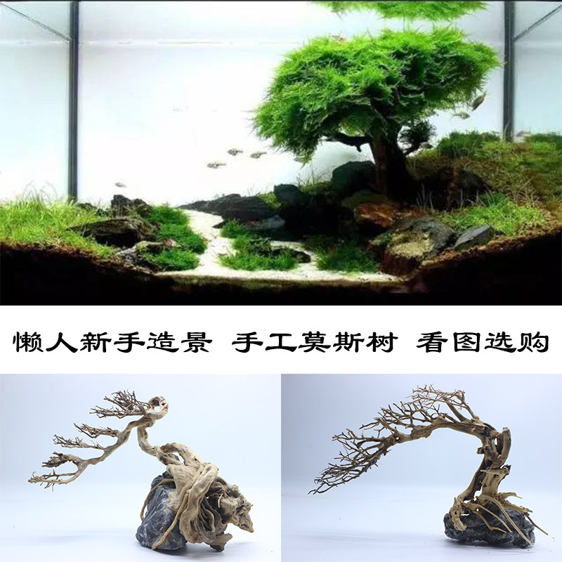 水族造景树巴西树莫斯树鱼缸树草缸造景组合天然装饰迎客松沉木树