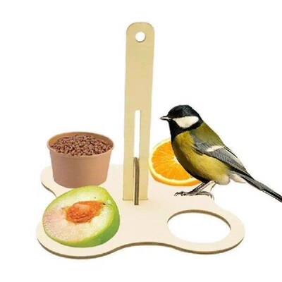 Bird Feeder Station Outside Hang Wild Bird Feeding Station