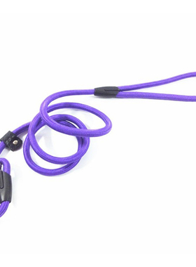 Dog Training Leash Slip Pet Dog Nylon Rope Lead Strap Tracti