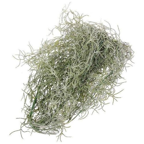 Artificial Dried Flowers Fake Plant Hanging Moss Decor for