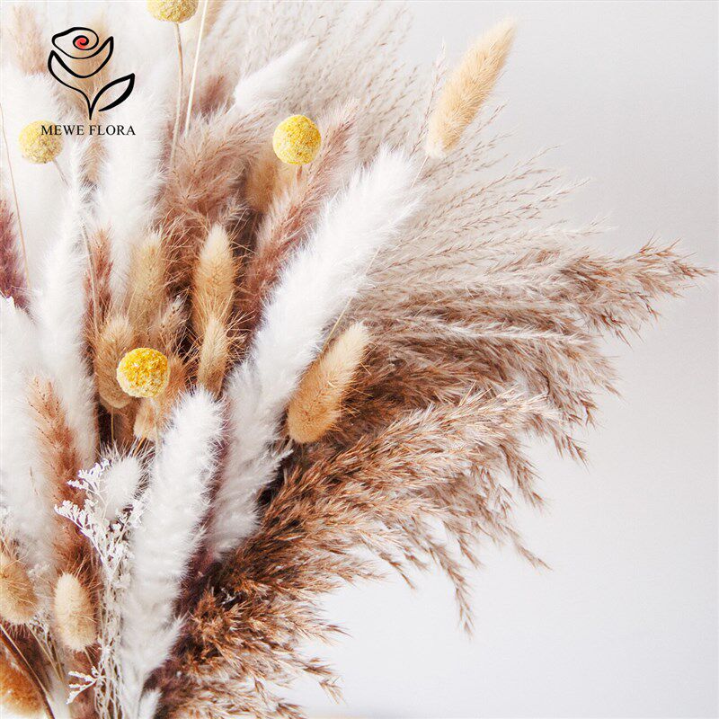 96pcs Pampas Dried Flowers Bunny Tails Grass Bouquet Wedding图片