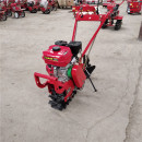 矮架款 微耕机多功能翻地开沟除草播种设备农用手扶耕种机械 链轨式