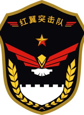 安全员肩牌臂章新员工袖标袖章定制刺绣学生会订做突击队订制