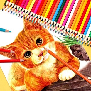 Oil colored pencil students draw 48 color pencils by hand