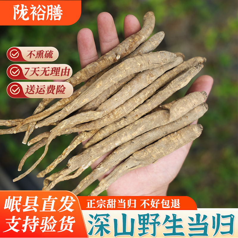 野生甜当归500g整根中药材正品土当归藏当归高山品质黄芪党参煲汤
