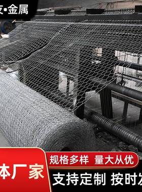 编厂OWI家黑色六涂塑角铁网热镀锌六角网织丝拧花网