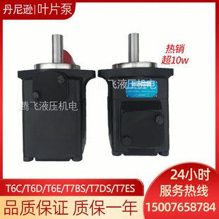 进丹尼逊叶片泵T6D 038 2R01 B1/T7DS派克高压压铸机液压油泵电动