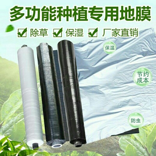 银黑地膜黑地膜除草地膜蔬菜果树保湿保温除草除虫银黑双色反光膜