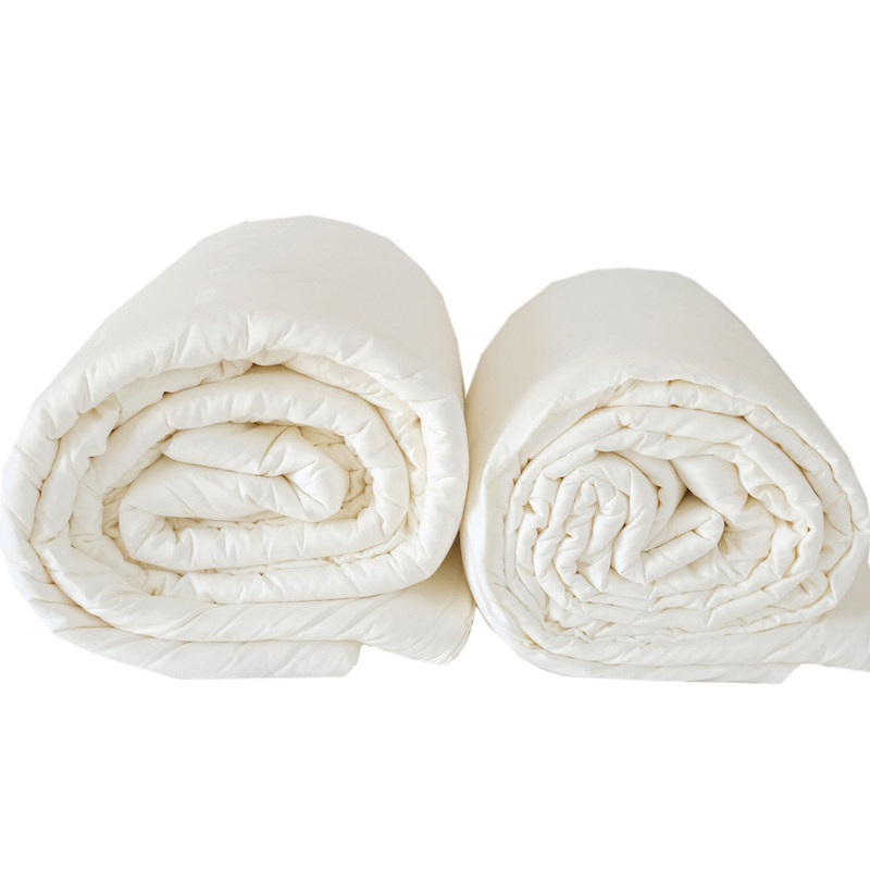 直物人21秋冬有机大豆纤维被升级款春秋被冬被单人人保暖,床上用品,化纤被,淘宝优惠券,粉丝福利购,淘宝优惠卷