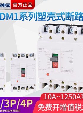RDM1塑壳断路器三相四线3P/10010空气开关P/030人民电器