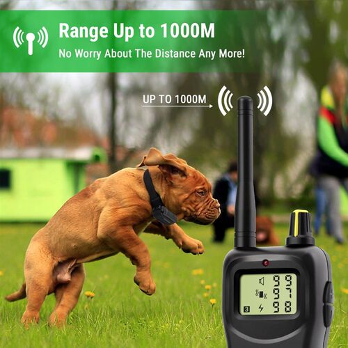 Petrainer 900 1 1000M Electronic Remote Control Dog Trainin