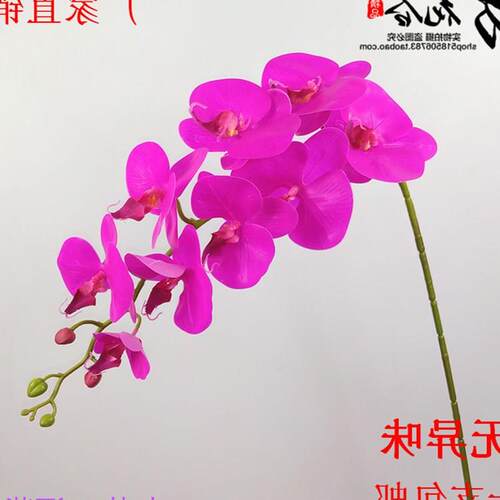 pu gluing simulation flower butterfly orchid feel single dry