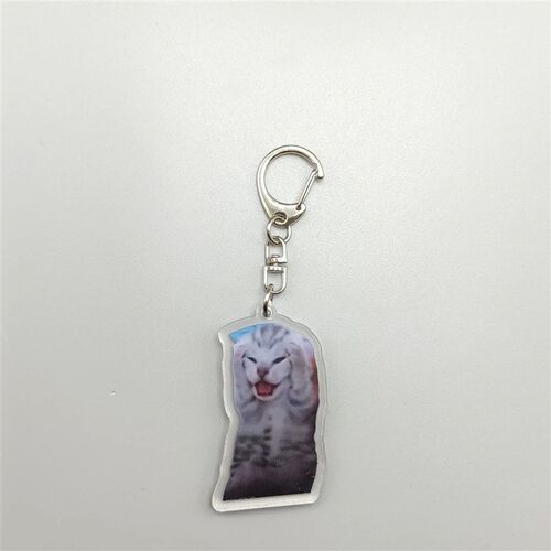 Rambling Goat Huh Cat Meme Keychain Confused Cat Memes Cat S