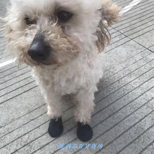 Pet rubber cover dog shoes summer breathable socks鞋子通用