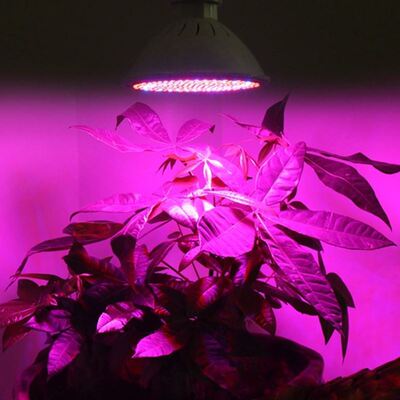 New 20W 166 Red 34 Blue LED Grow Light Bulb E27 Plant Lamp