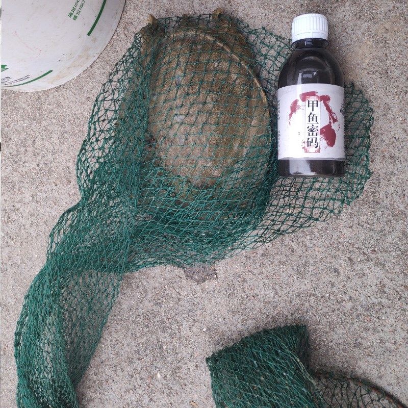 甲鱼密码钓鱼小药甲鱼饵料诱鱼剂野钓龟鳖窝料王八浓腥配方添加剂,户外/登山/野营/旅行用品,台钓饵,淘宝优惠券,粉丝福利购,淘宝优惠卷