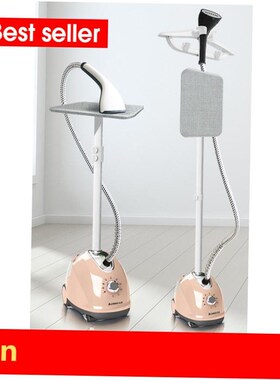 electric compact iron steam soleplate clothes steamer 电熨斗