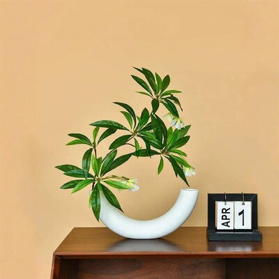 1pcs Enchanting Crescent Moon Vase Creative Design Ornaments