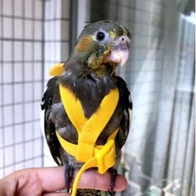 Parrot Flying Harness Leash Suit Pet Bird Outdoor Flight