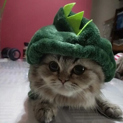 Funny Dinosaur Pet Cat Costume Halloween Cat Clothes for Sma